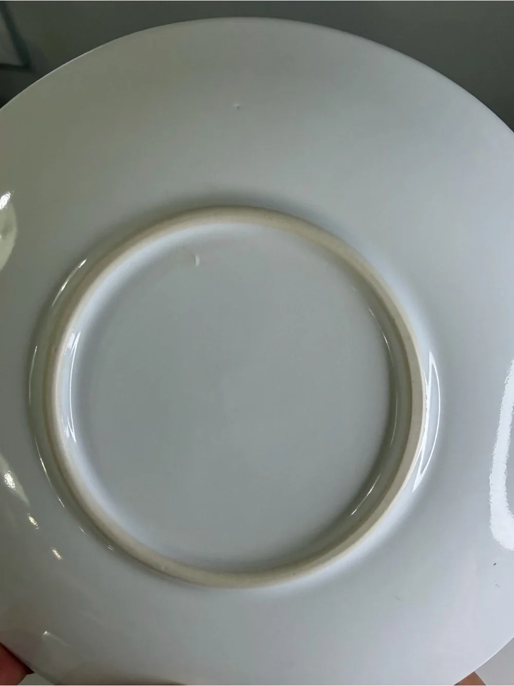 Crate and Barrel Striped ceramic Plate in White and Dark Green
